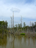 อุทยานแห่งชาติน้ำหนาว อ.น้ำหนาว จ.เพชรบูรณ์ 